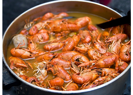 Як варити раків з кропом — класичний домашній рецепт